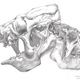 Image for article titled Trilobite boy remembers when the Cambrian was cool
